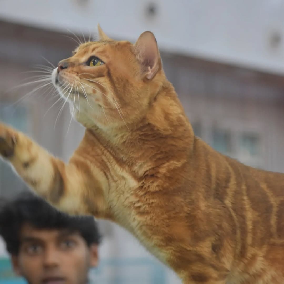 Morning cuddles are non-negotiable in this house 🥰