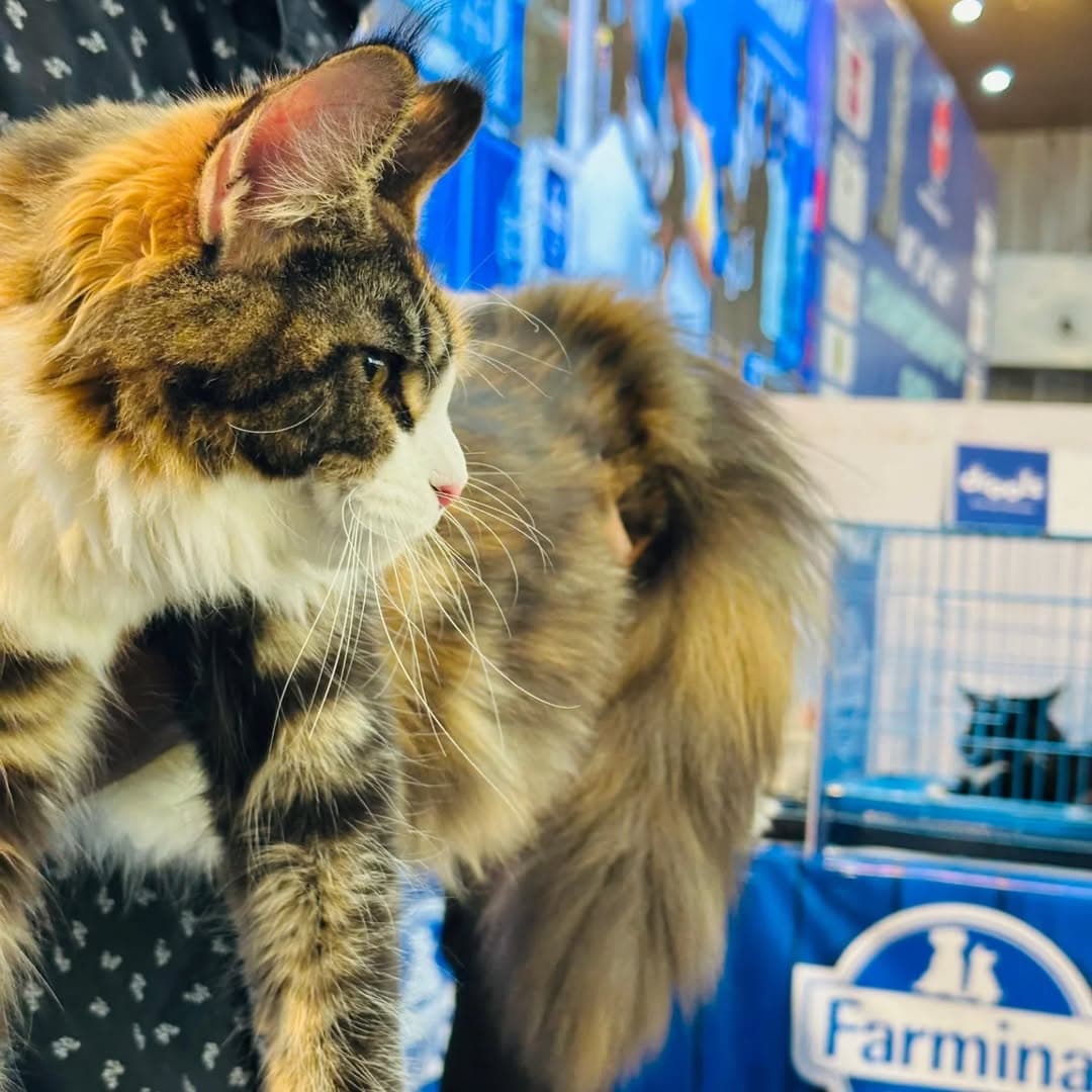 Spa day for the queens 💅